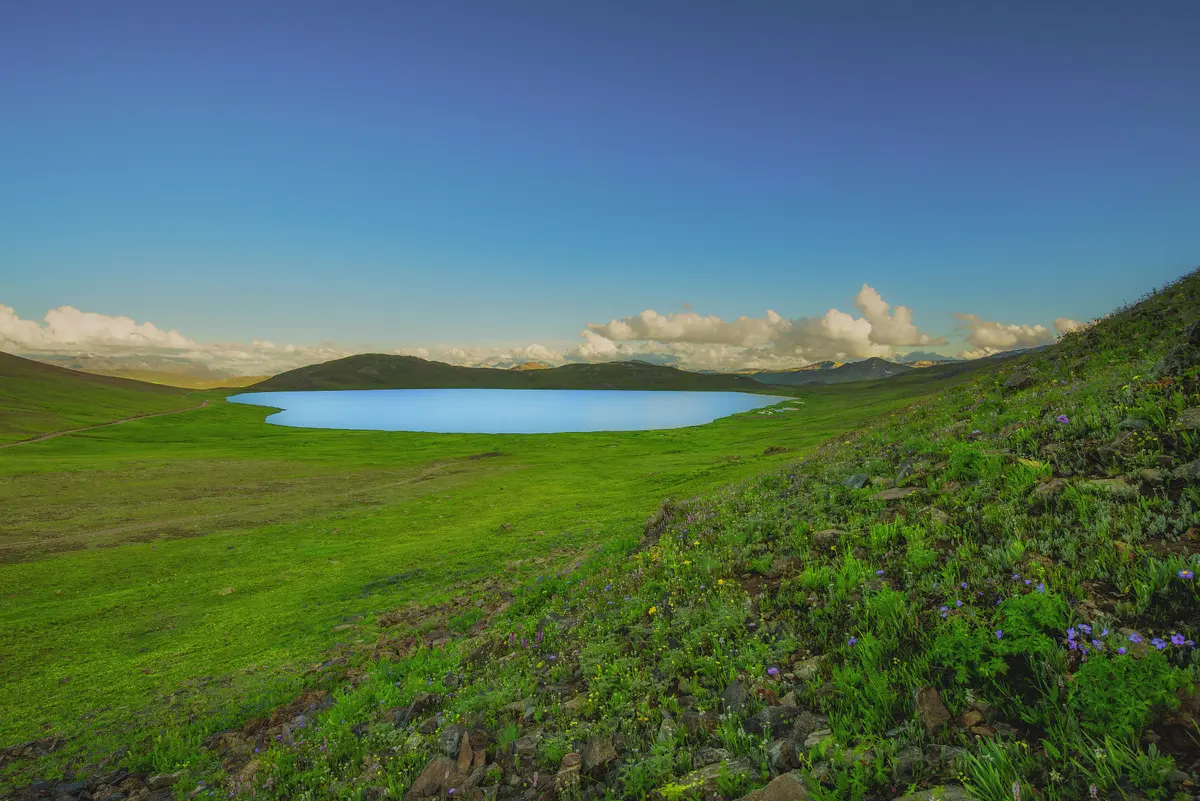 Sheosar Lake lying blue in the open grassland of the Deosai plateau, wildflowers in the foreground