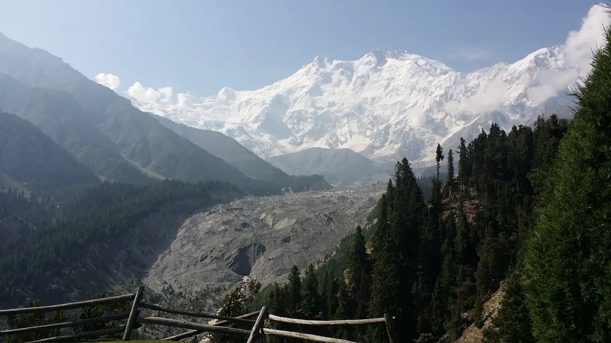 Nanga Parbat and the Rakhiot Glacier seen from the pine-edged grass of Fairy Meadows