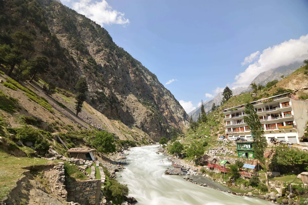 Dense conifer forest and a mountain stream in the Ushu valley near Kalam