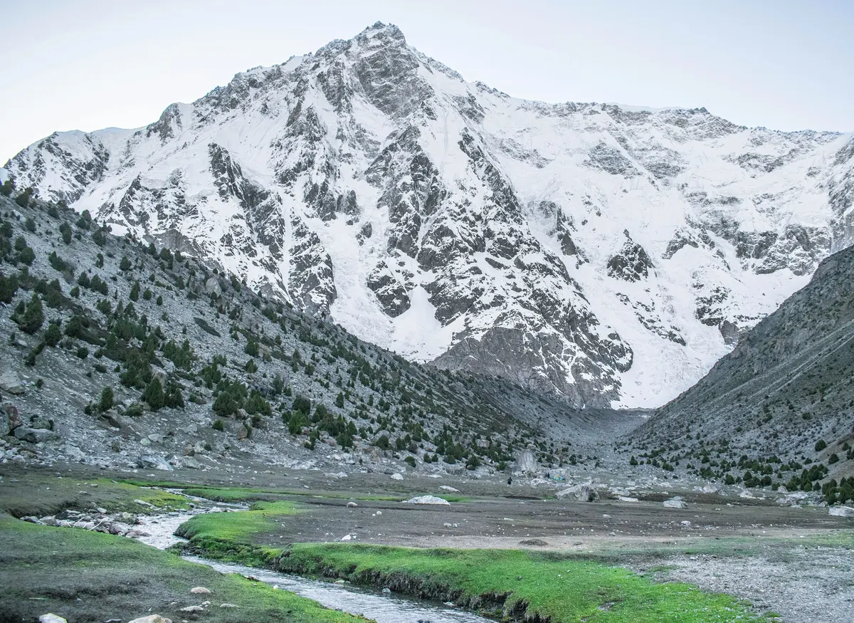 The snow and rock of Nanga Parbat's Rupal Face rising above a green valley floor and stream